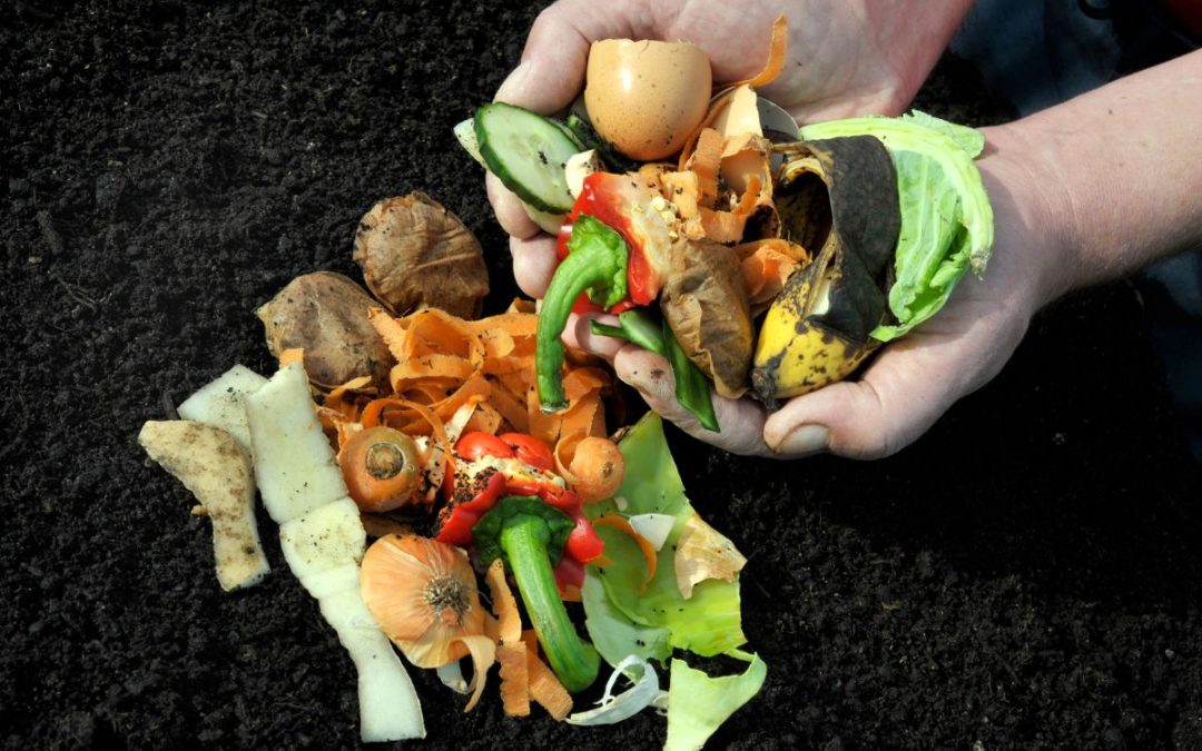 A Revolução do Próprio Quintal: Como a Compostagem Transforma Resíduos em Vida