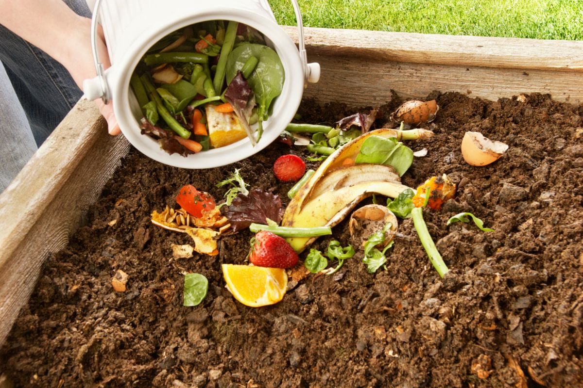 Compostagem para Iniciantes: Guia Passo-a-Passo Completo